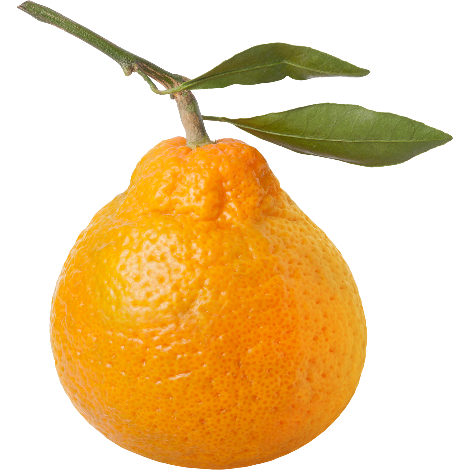 Orange with a branch and leaves on a white background