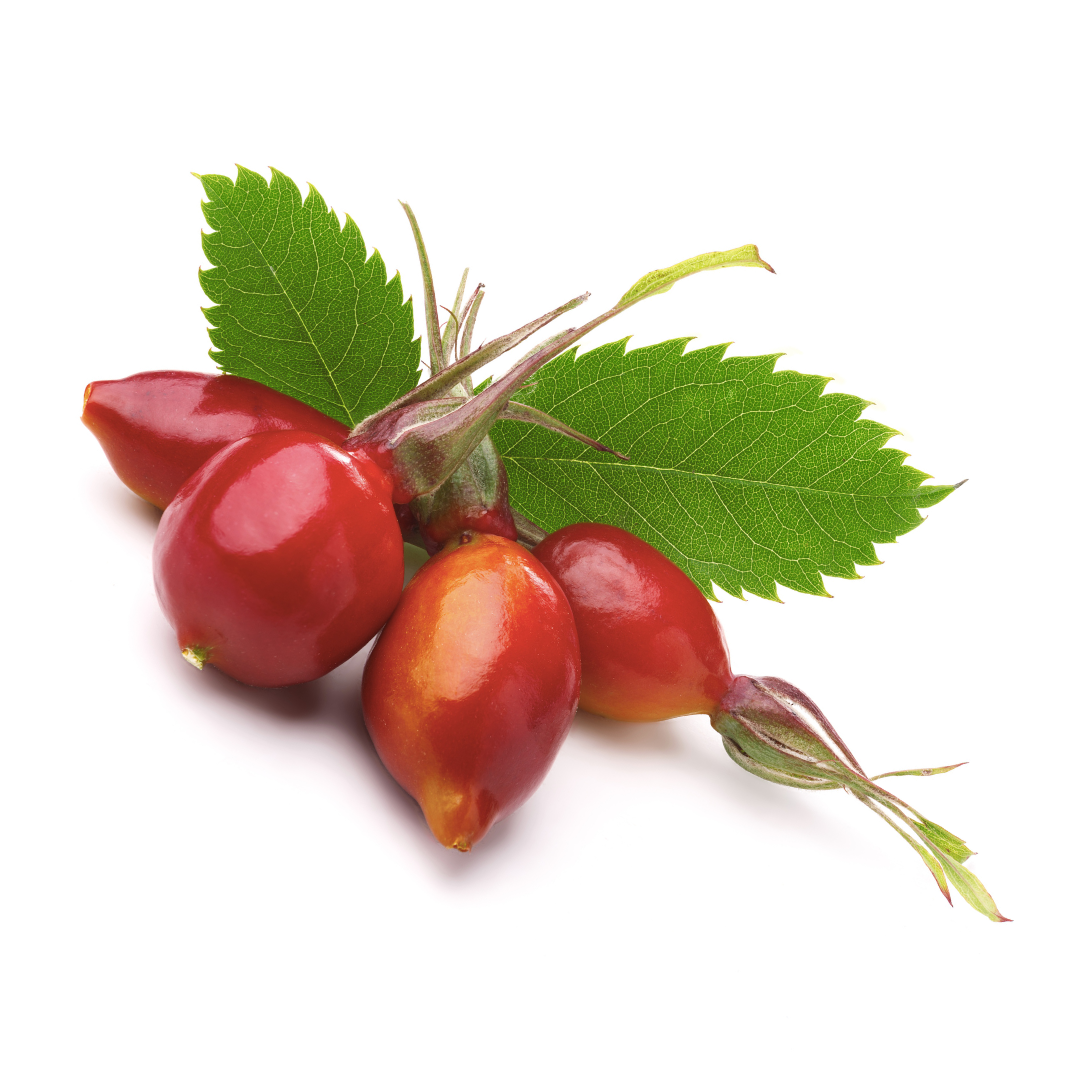 Rosehips