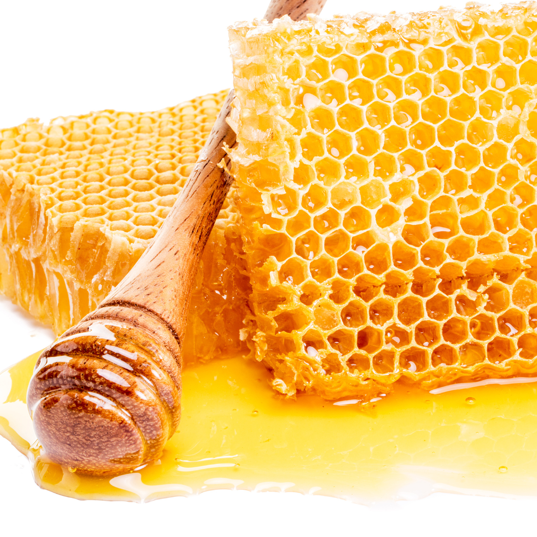 Honeycomb with honey and a wooden dipper on a white background